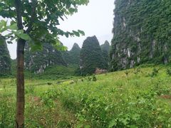 -钟山水墨田园