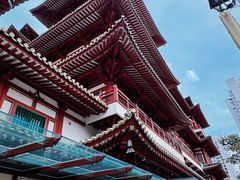 -新加坡佛牙寺龙华院