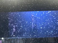 -宝能国际体育演艺中心