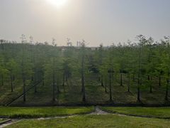 -南汇嘴观海公园