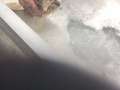 -MOLLY'S萌宠生活馆