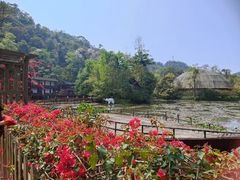 -野象谷景区