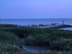 -seeu coffee(江滩店)