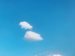 -YLK云南小粒咖啡·云里咖(二号店)