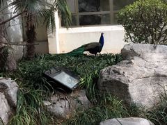 -舜耕山庄四时万和自助餐厅