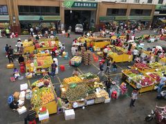 -三亚新鸿港水果一级批发市场