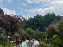 -腾冲洞山温泉村