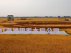-红海滩国家风景廊道