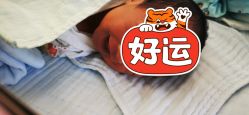 -蓓儿悦月子会所(日月大道店)