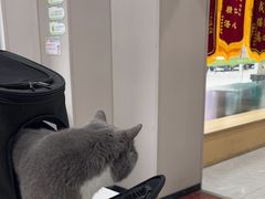 -瑞鹏宠物医院·超声·骨科·奇麟分院(蜀都万达店)