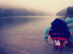 android_upload_pic-广州市石门国家森林公园