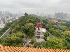 -黄鹤楼公园(黄鹤楼)