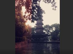 -上海佘山国家森林公园西佘山园