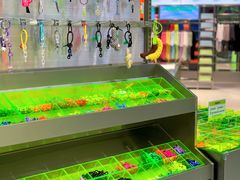 -HOWOW·D2Y(柏威年店)