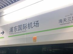 -浦东1号2号航站楼(地铁站)