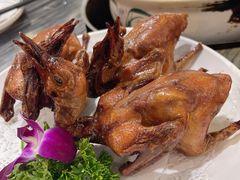 -鸽鸟轩(石岐店)