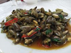 薄壳-老三鱼仔店