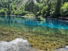 -西姆山居酒店(九寨沟沟口店)