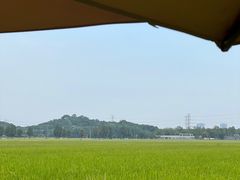-崖口煲仔饭