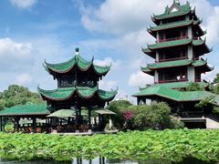 -桂湖森林公园
