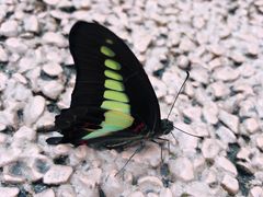 -眉山湿地公园(东坡区)