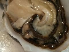 -同乐酒楼(皇后镇店)