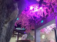 -韵秋荷(宝山龙湖天街店)