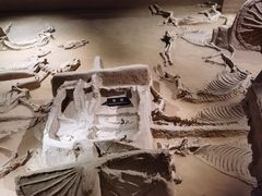 -洛阳周王城天子驾六博物馆