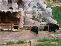 -清迈夜间动物园