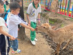-广东花都香草世界旅游度假区
