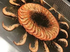 -大渔铁板烧(花园道店)