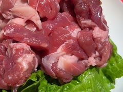 -额尔敦草原涮羊肉·烧烤(冻青树总店)