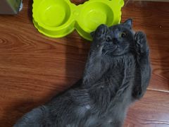 -江湖六膳門串串香(隆礼路店)