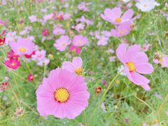 -厦门园林博览苑