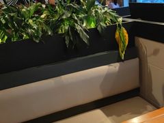 -管氏翅吧(台湾街店)