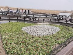 -宁波杭州湾国家湿地公园