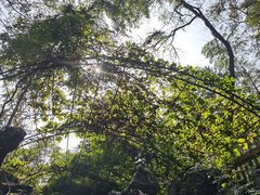 -陶祖圣境风景区