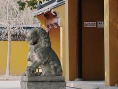 -西园戒幢律寺