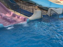 -上海玛雅海滩水公园