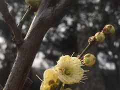 -汉水公园