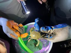 -南汇新城海滩