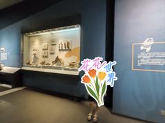 -湖南省地质博物馆