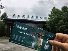 -黄海国家森林公园