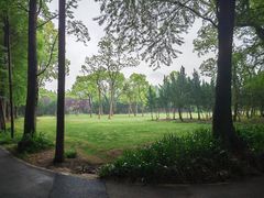 -上海滨江森林公园