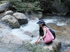 -龙窝子