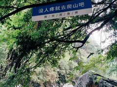 -石台牯牛降景区