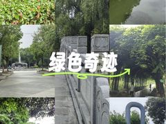 -月湖风景区