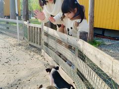 -前小桔亲子创意农场·草莓采摘·露营烧烤