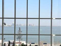 -朵云书院(滴水湖店)