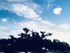 -深圳湾公园(南山区)
